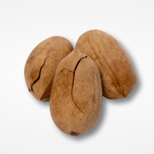 Pekan qabıqlı