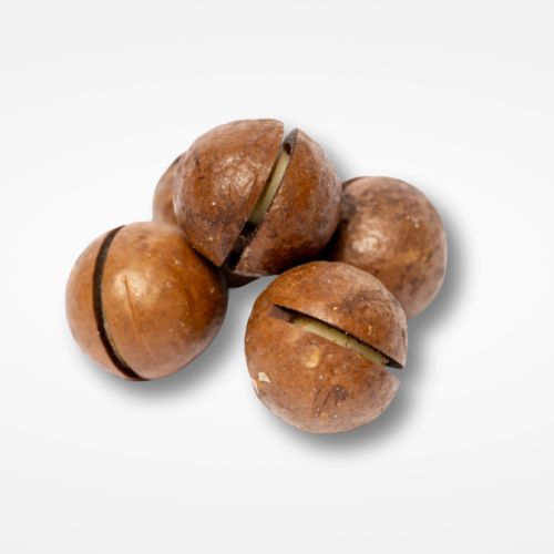 Makadamiya qabıqlı